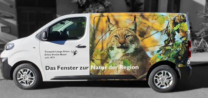 Fahrzeugbeschriftung, Beispiel